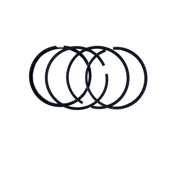 KARIKE FI101.04 MM TARABUSI