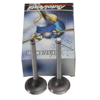 VENTIL IZDUVNI M IMT 539 +1.0 AUTO VENTIL