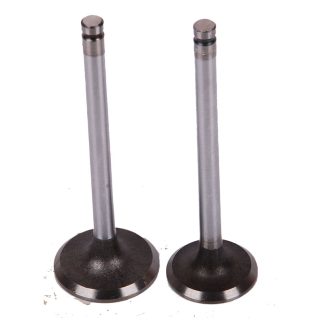 VENTIL GLAVE MOTORA S MOTOR