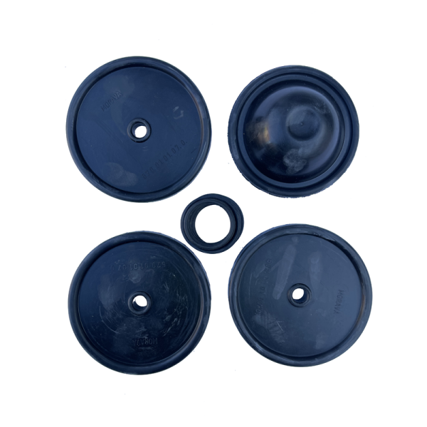 SET MEMBRANA PUMPE COMET APS101